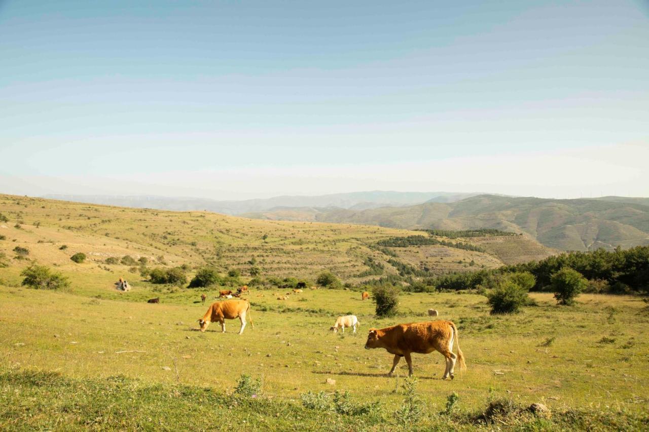 Casa Rural El Huerto De La Fragua Guest House เอนซิโซ ภายนอก รูปภาพ